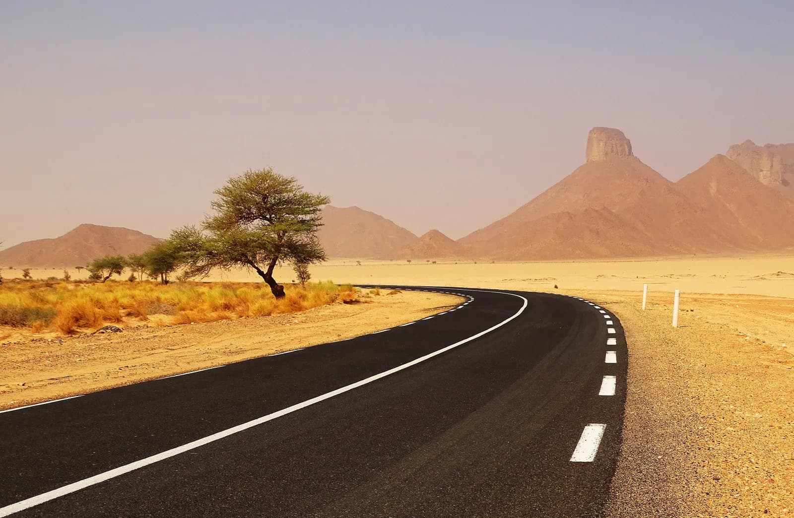 Une route du Tassili n’Ajjer près de Djanet, un acacia et des reliefs de grès.